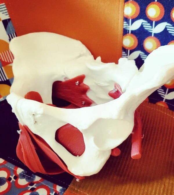 C&rsquo;est la rentrée !