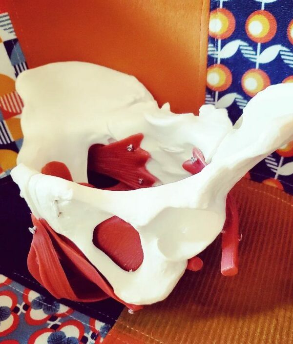 Cours de musique - Chalon sur Saône - Eva Arnaud